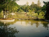 pontes-e-passarelas (11)